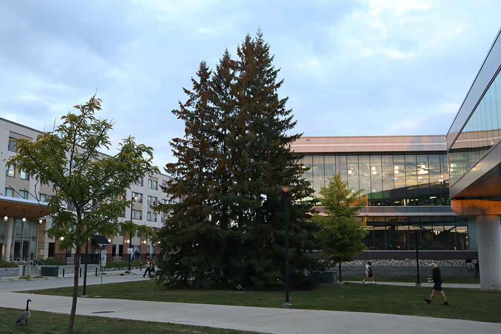 Wide shot of Algonquin College