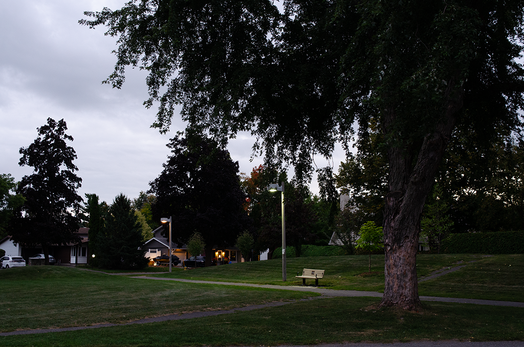 Photo of the park behind Algonquin at dusk. (Tree was not climbable)