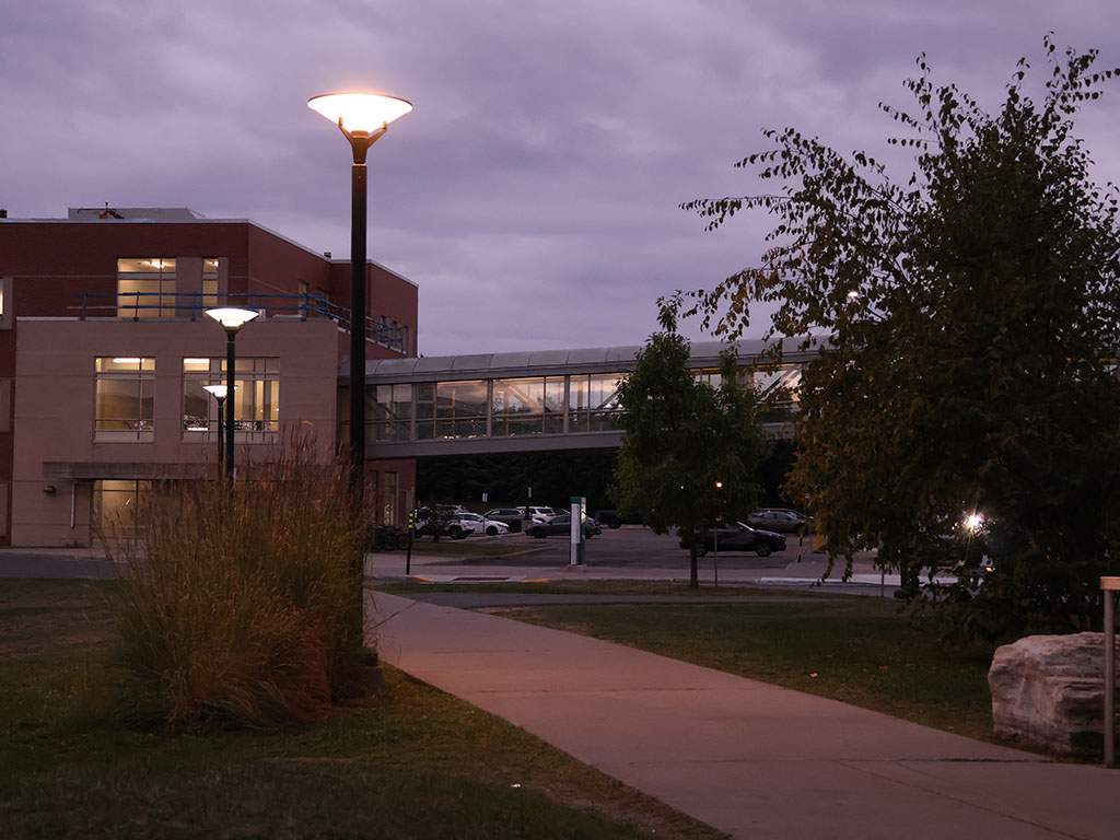 A sidewalk lit up by street lamps leads to a building